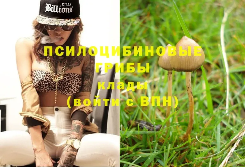 хочу   Кемь  Псилоцибиновые грибы Magic Shrooms 